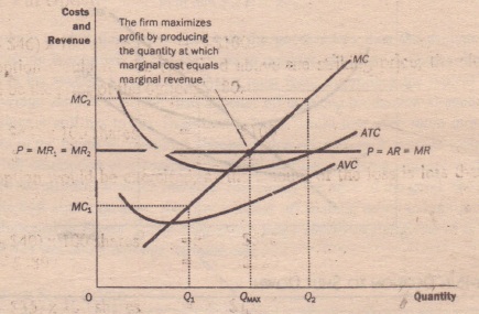 Marginal Cost And Supply Curve